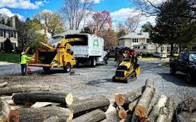 Best Tree and Shrub Care  in Leisure Village, NJ